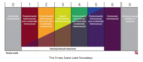Kinsey Scale Asexual